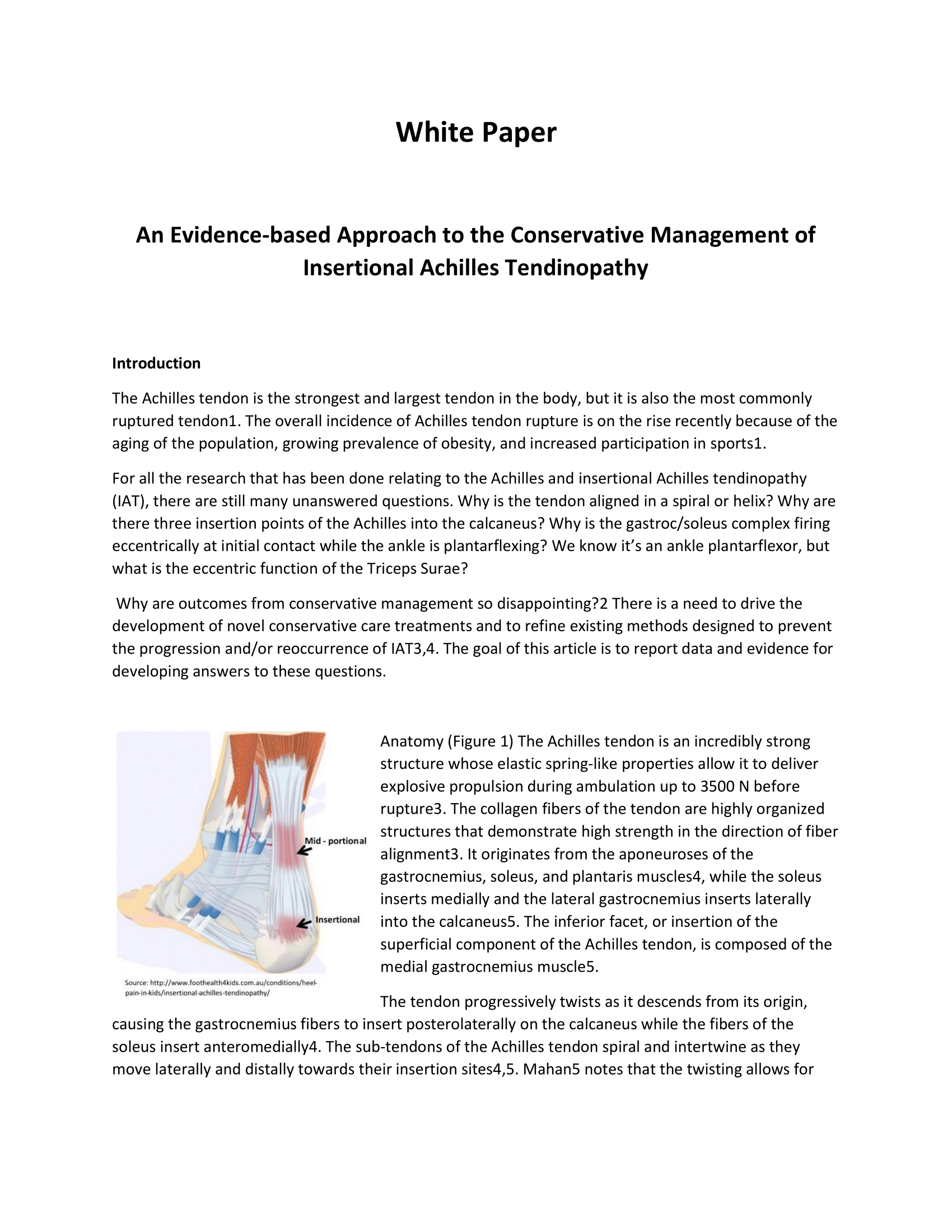 Insertional Achilles Tendonitis Allard USA